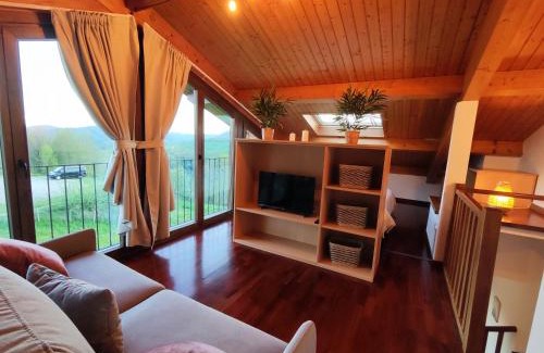 Mollo Apartment | Allotjaments Paratge Fabas