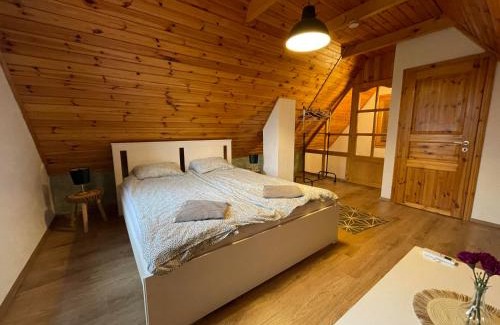 Harkany House | Alma Apartmanház