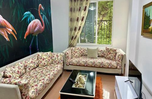 Berat Apartment | Alma-house at PINE