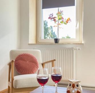 Stare Miasto Apartment | Alma in Cracow! 2 room by the gate to Old Town