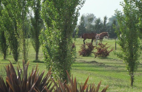 Chascomus House | Alma Pampa