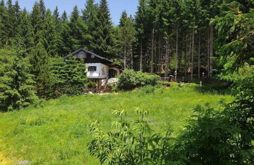 Bad Sankt Leonhard im Lavanttal House | AlmFerienhaus Gaisegg am Klippitztörl