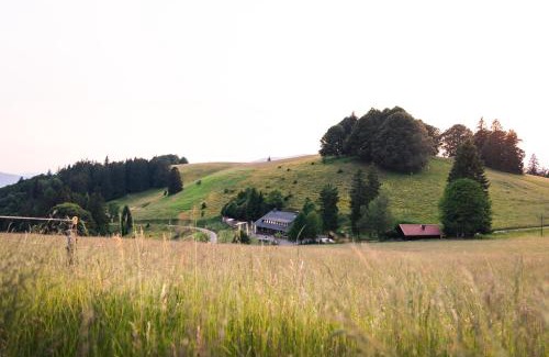 Utzenfeld Apartment | Almgasthaus Knöpflesbrunnen Vierbettzimmer 2