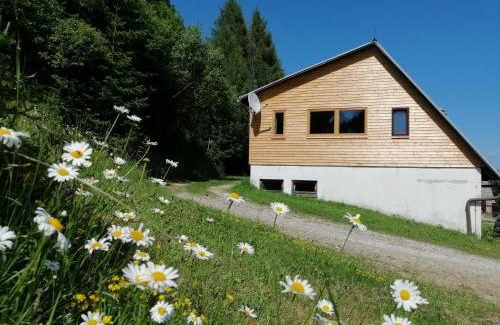 Sankt Wolfgang-Kienberg Ski Chalet | Almhütte Grosserhütte