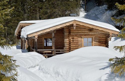 Hochfugen Apartment | Almnest in Hochfügen mit privat SPA