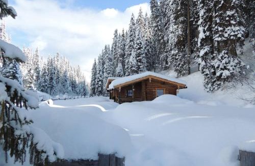 Hochfugen Apartment | Almnest in Hochfügen mit privat SPA