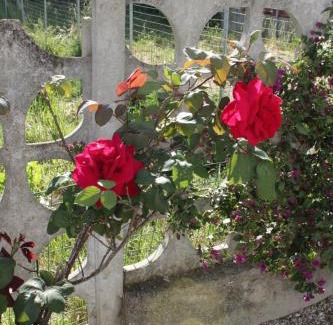 Fonte Umano-San Martino Alta Bed & Breakfast | Almond b&b