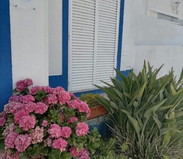Quinta Do Conde House | Alojamento local Família Coelho