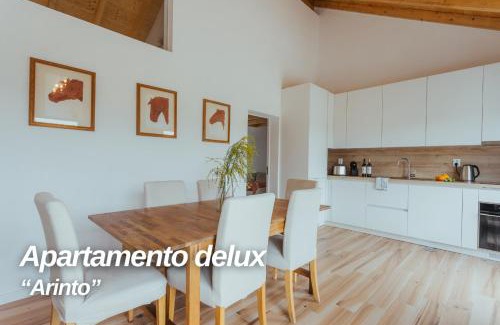 Montemor-o-Novo Apartment | Alojamentos Plansel - No Coração das Vinhas do Alentejo