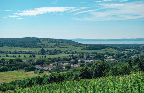 Balatoncsicso Apartment | Alpakavendégház