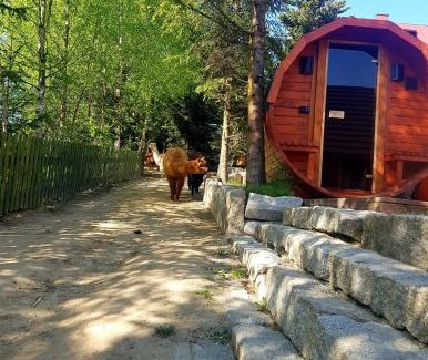 Nowy Targ House | Alpakowy raj