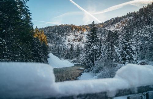 Scharnitz Apartment | Alpe Chalets Goldener Hirsch