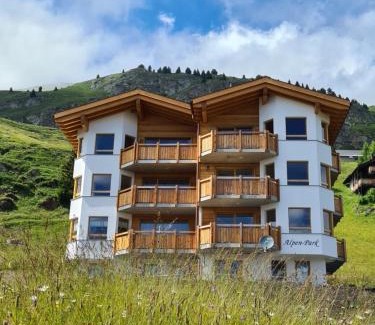 Riederalp Apartment | Alpen-Park 2. Stock West