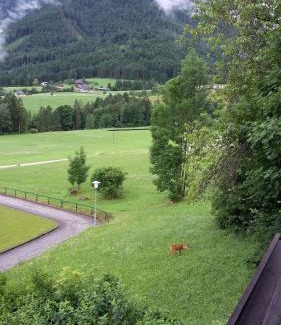 Bad Aussee Apartment | Alpencottage Bad Aussee