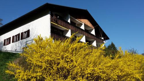 Bad Aussee Apartment | Alpencottage Bad Aussee