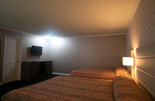 Cow Hollow Hotel | Alpha Inn & Suites
