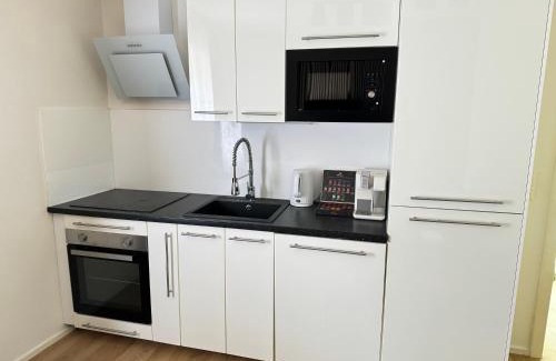 Matrei am Brenner Apartment | Alpin Apartments am Dorfbrunnen JUNIOR SUITE