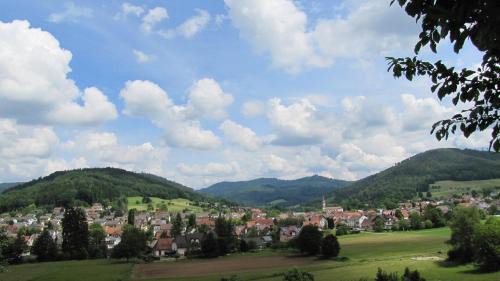 Lahr Apartment | Alte Schmiede