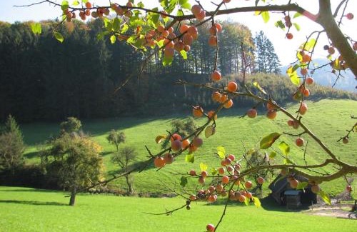 Lahr Apartment | Alte Schmiede
