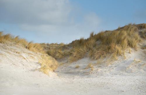 Westerhever Apartment | Alte Schule Westerhever Welt
