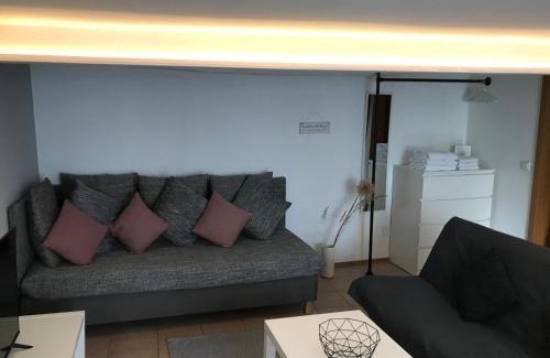 Engen Apartment | Altstadt Apartment Altes Amtshaus