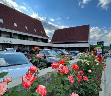 Praid Hotel | Altus Hotel & Spa
