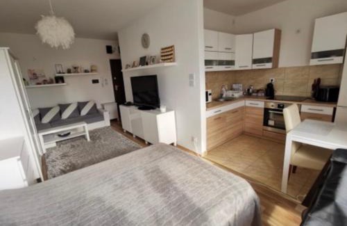 Ferencvaros Apartment | alure apartment
