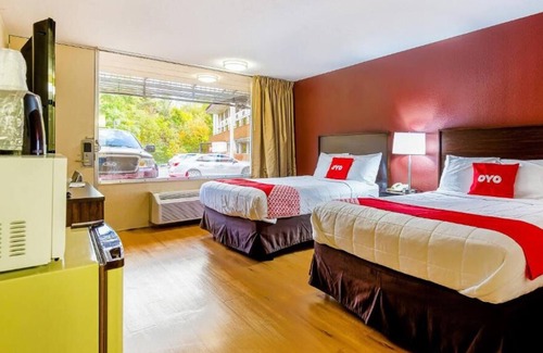 Moline House | Always a Great Idea To Unwind! Near Butterworth Center, Pets are Allowed