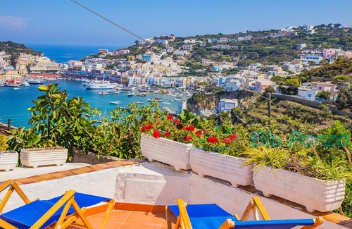 Ponza Apartment | Amador Apartment