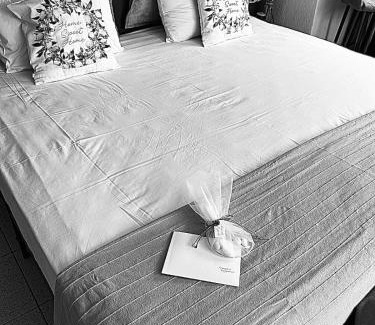 Serres Apartment | Amaryllis apartment 23