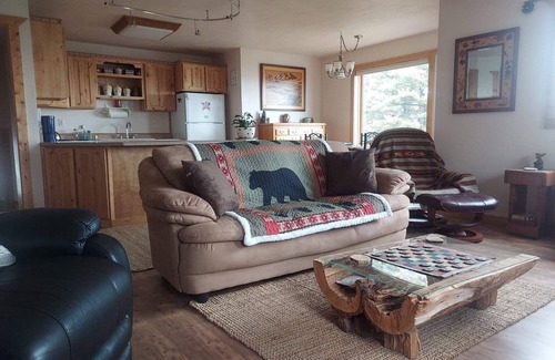 Cameron Cabin | AMAZING CABIN IN THE WOODS! 70 acres Bordering National Forest to S & W.