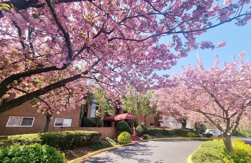 Elkins Park Apartment | Amazing, Large, Parking Monthly Discount