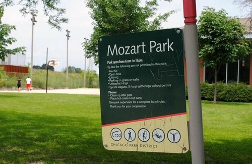 Logan Square Apartment | Amazing Location 3BR Gem in Logan Square w Parking