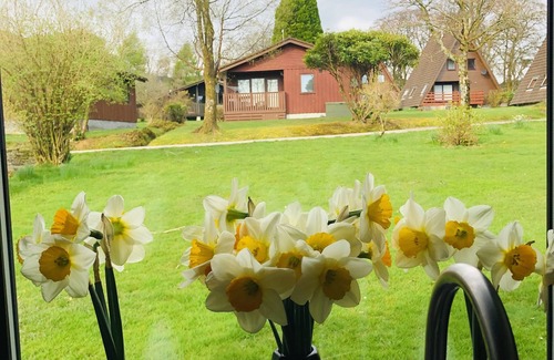 Kilmun Cabin | Amazing Loch Views From Cheerful 2 bed Cabin