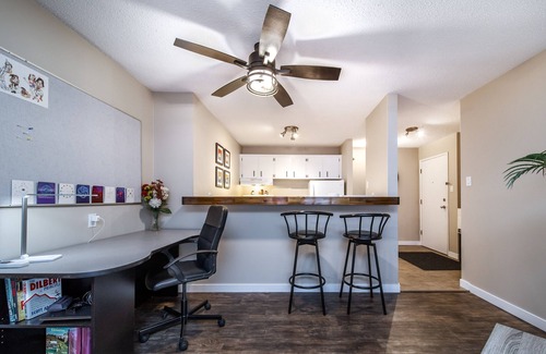 North Central Edmonton Apartment | Amazing Studio Suite & Workspace