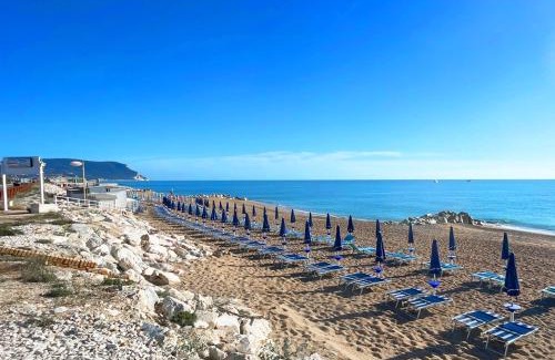 Porto Recanati Apartment | Ambra by Ermosa - con giardino e sdraio - a 300 m dal mare