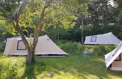 Nes Other | Ameland Tentenverhuur