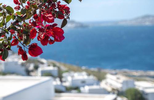 Agios Stefanos Apartment | Amelie Suites Mykonos