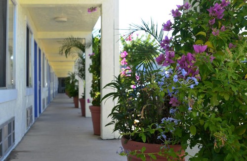 Bradenton Hotel | Americas Best Value Inn Bradenton-Sarasota