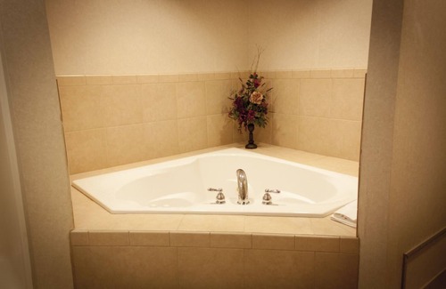 Bad Axe Hotel | Ameriway Inn and Suites