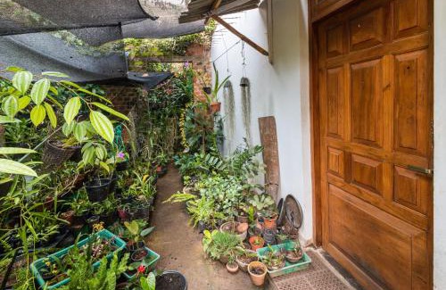 Tennekumbura House | Amma's Homestay