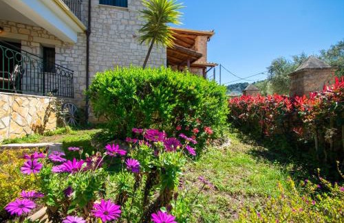 Ano Vasilikos Apartment | Ammos Zante Villas