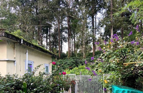 Kumily House | Ammus Homestay