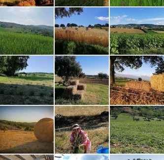 Cingoli Bed & Breakfast | Amor di Lavanda