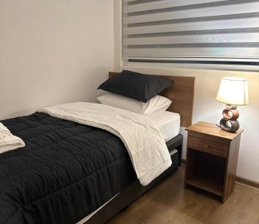 Concepcion Apartment | Amplio departamento en zona céntrica de Concepción