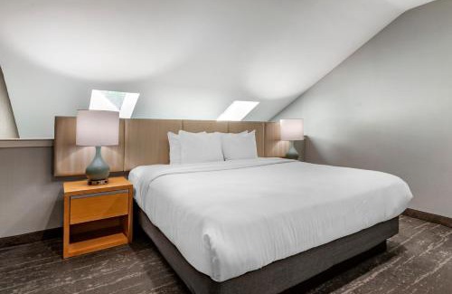 Somerset Hotel | Amwell Suites