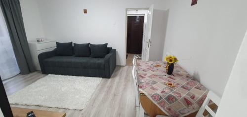 Gheorgheni Apartment | Ana Apart