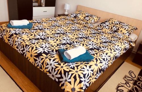 Ramnicu Valcea Apartment | Ana-Maria Home
