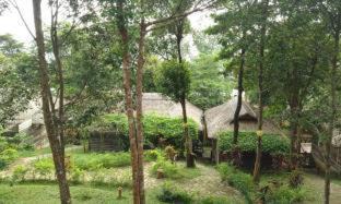 Ong Lang Resort | Ancarine Beach Resort