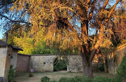 Vergt-de-Biron House | Ancestral Home Vergt-sur-Biron - Vergt-de-Biron, Dordogne